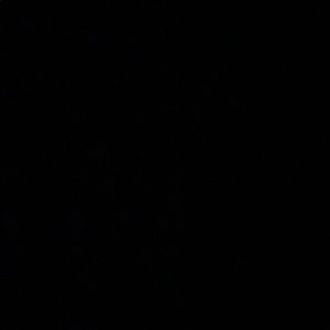 Meet your Posher, Bailey